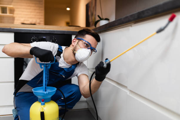 Best Emergency Pest Control  in Centerville, SC