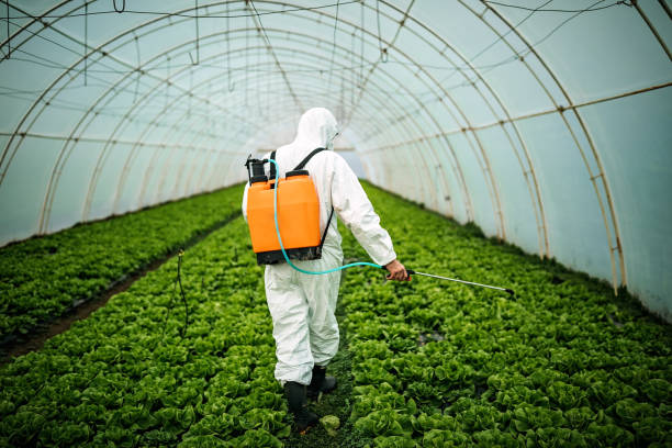 Best Pest Removal Services  in Centerville, SC