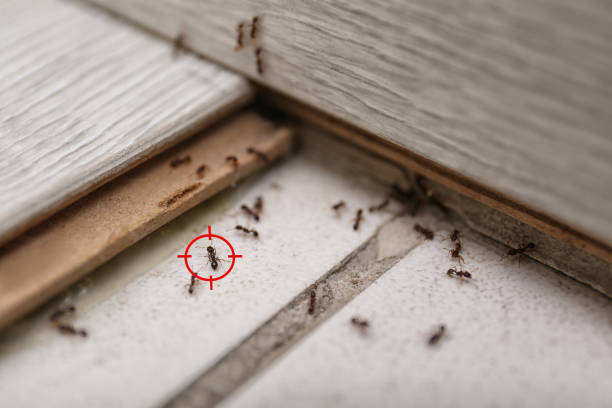 Pest Control for Restaurants in Centerville, SC