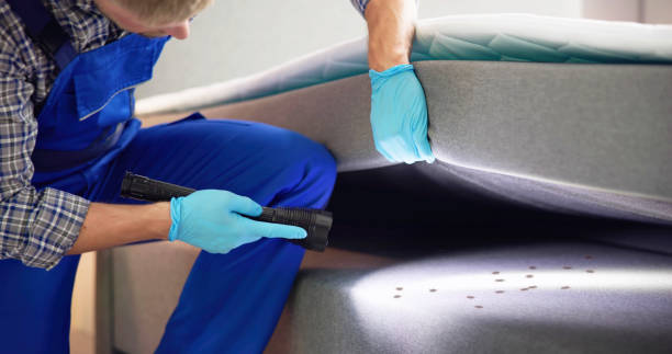 Best Flea Control Services  in Centerville, SC