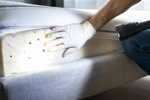 Best Pest Inspection Near Me  in Centerville, SC