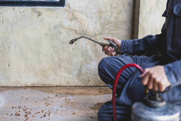 Best Affordable Pest Control Services  in Centerville, SC