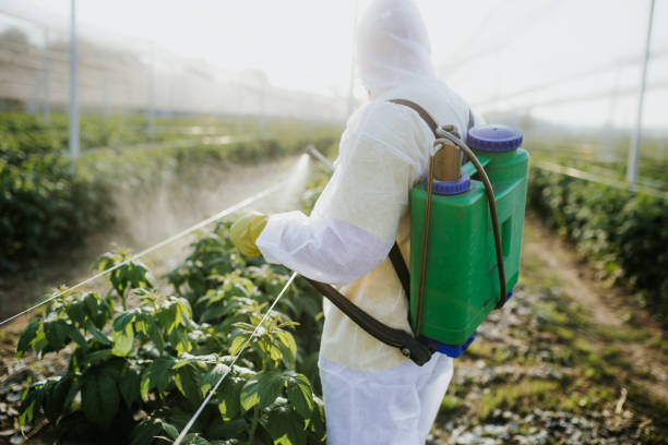 Best Residential Pest Control  in Centerville, SC